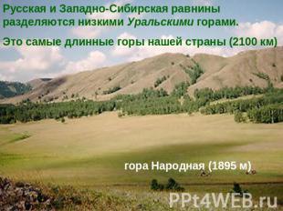 Русская и Западно-Сибирская равнины разделяются низкими Уральскими горами.Это са
