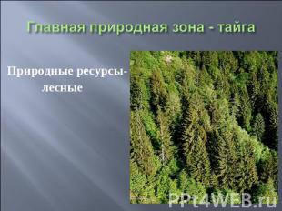 Главная природная зона - тайга Природные ресурсы- лесные
