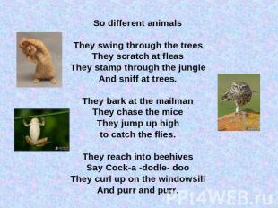 So different animalsThey swing through the treesThey scratch at fleasThey stamp