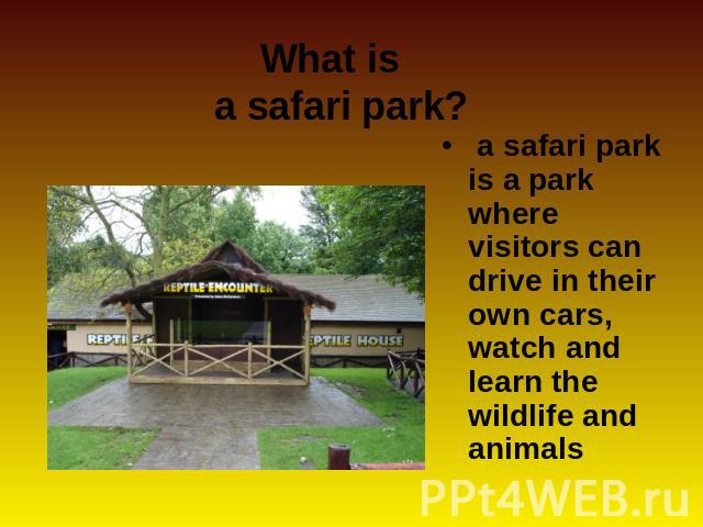 What is a safari park? a safari park is a park where visitors can drive in their own cars, watch and learn the wildlife and animals
