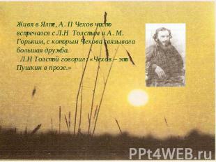 Живя в Ялте, А. П Чехов часто встречался с Л.Н Толстым и А. М. Горьким, с которы