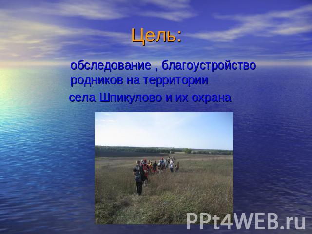 Цель: обследование , благоустройство родников на территории села Шпикулово и их охрана