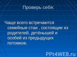 Проверь себя: Чаще всего встречаются семейные стаи , состоящие из родителей, дет