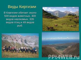 Виды Киргизии В Киргизии обитает около 500 видов животных, 300 видов насекомых,