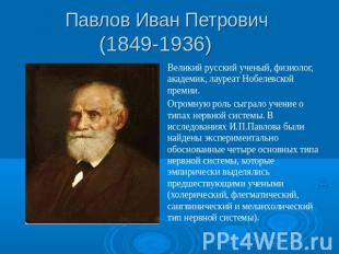 Павлов Иван Петрович (1849-1936) Великий русский ученый, физиолог, академик, лау