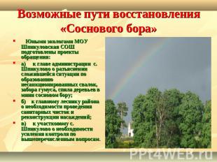 Возможные пути восстановления «Соснового бора»    Юными экологами МОУ Шпикуловск