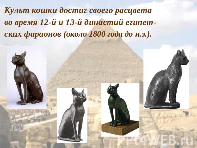 Культ кошки достиг своего расцвета во время 12-й и 13-й династий египет-ских фараонов (около 1800 года до н.э.).