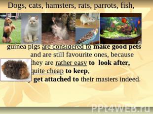 Dogs, cats, hamsters, rats, parrots, fish, guinea pigs are considered to make go
