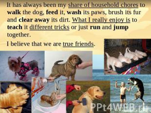 It has always been my share of household chores to walk the dog, feed it, wash i