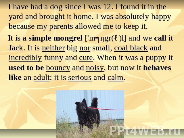I have had a dog since I was 12. I found it in the yard and brought it home. I was absolutely happy because my parents allowed me to keep it. It is a simple mongrel ['mʌŋgr(ə)l] and we call it Jack. It is neither big nor small, coal black and incred…