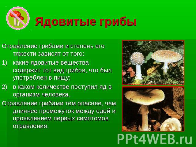 Ядовитые грибыОтравление грибами и степень его тяжести зависят от того: какие ядовитые вещества содержит тот вид грибов, что был употреблен в пищу; в каком количестве поступил яд в организм человека. Отравление грибами тем опаснее, чем длиннее проме…