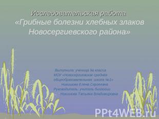 Исследовательская работа «Грибные болезни хлебных злаков Новосергиевского района