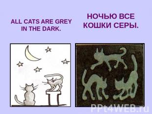 ALL CATS ARE GREY IN THE DARK.