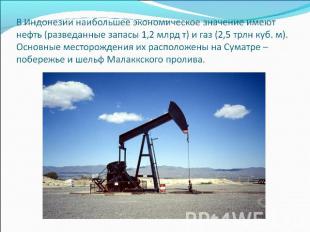 В Индонезии наибольшее экономическое значение имеют нефть (разведанные запасы 1,