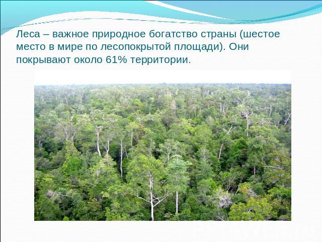 Леса – важное природное богатство страны (шестое место в мире по лесопокрытой площади). Они покрывают около 61% территории.