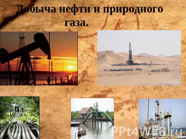 Добыча нефти и природного газа.