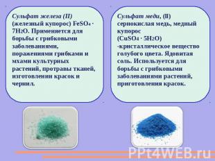 Сульфат железа (II) (железный купорос) FeSO4 · 7H2O. Применяется для борьбы с гр