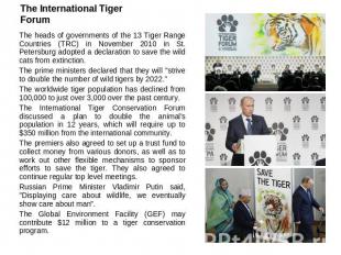 The International Tiger Forum The heads of governments of the 13 Tiger Range Cou