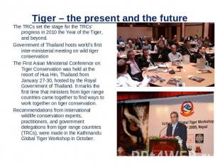 Tiger – the present and the future The TRCs set the stage for the TRCs’ progress