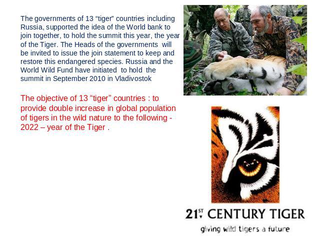 The governments of 13 “tiger” countries including Russia, supported the idea of the World bank to join together, to hold the summit this year, the year of the Tiger. The Heads of the governments will be invited to issue the join statement to keep an…