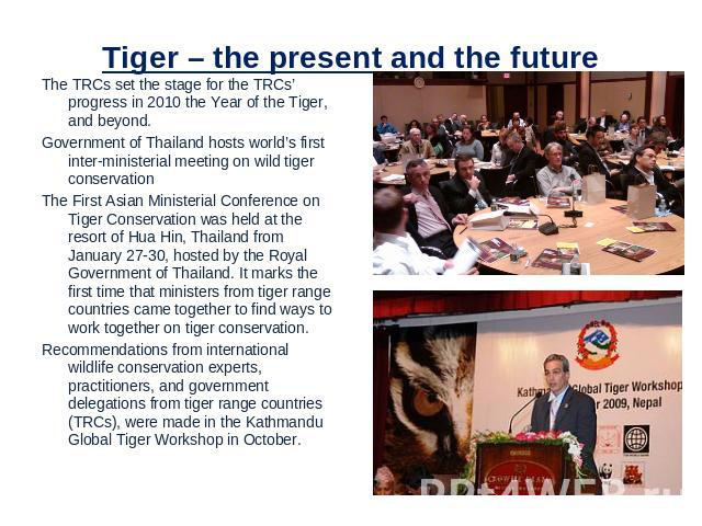 Tiger – the present and the future The TRCs set the stage for the TRCs’ progress in 2010 the Year of the Tiger, and beyond.Government of Thailand hosts world’s first inter-ministerial meeting on wild tiger conservation The First Asian Ministerial Co…