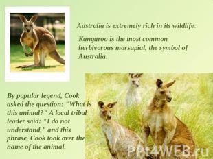 Australia is extremely rich in its wildlife. Kangaroo is the most common herbivo