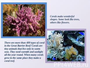 Corals make wonderful shapes. Some look like trees, others like flowers. There a