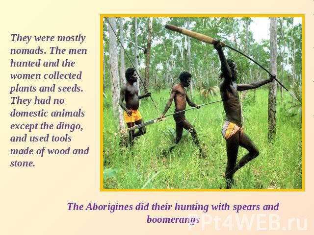 They were mostly nomads. The men hunted and the women collected plants and seeds. They had no domestic animals except the dingo, and used tools made of wood and stone. The Aborigines did their hunting with spears and boomerangs