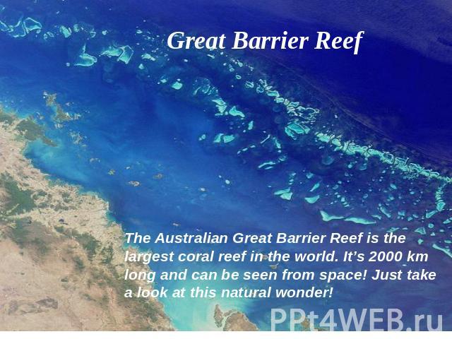 Great Barrier Reef The Australian Great Barrier Reef is the largest coral reef in the world. It’s 2000 km long and can be seen from space! Just take a look at this natural wonder!