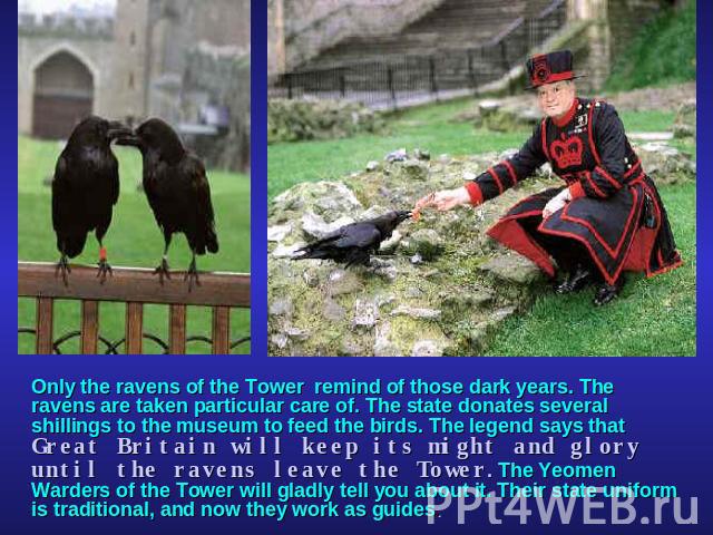 Only the ravens of the Tower remind of those dark years. The ravens are taken particular care of. The state donates several shillings to the museum to feed the birds. The legend says that Great Britain will keep its might and glory until the ravens …