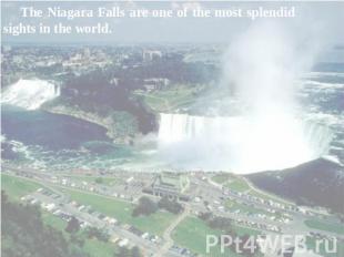 The Niagara Falls are one of the most splendid sights in the world.