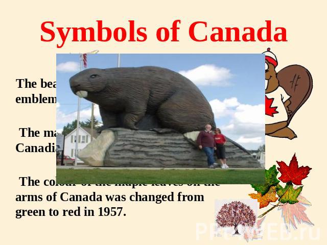 Symbols of Canada The beaver attained official status as an emblem of Canada March 24, 1975 . The maple leaf began to serve as a Canadian symbol as early as 1700 . The colour of the maple leaves on the arms of Canada was changed from green to red in 1957.