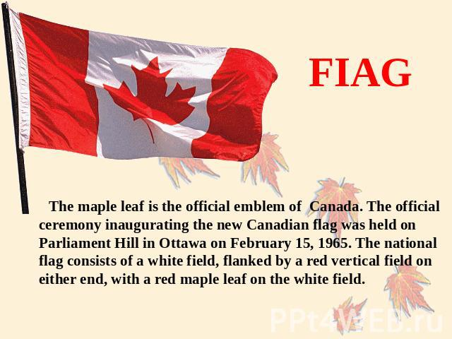 FIAG The maple leaf is the official emblem of Canada. The official ceremony inaugurating the new Canadian flag was held on Parliament Hill in Ottawa on February 15, 1965. The national flag consists of a white field, flanked by a red vertical field o…
