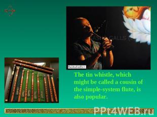 The tin whistle, which might be called a cousin of the simple-system flute, is a