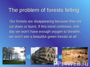 The problem of forests felling Our forests are disappearing because they are cut