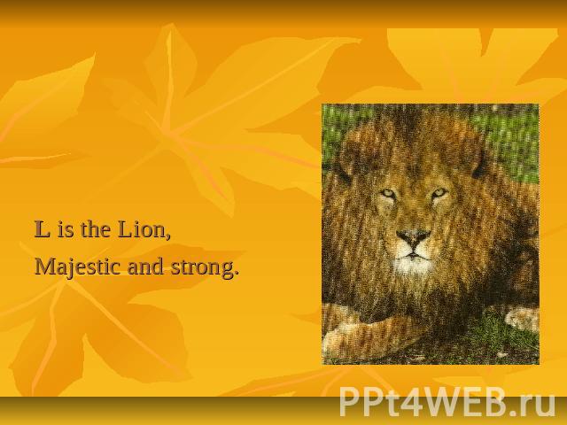 L is the Lion,Majestic and strong.