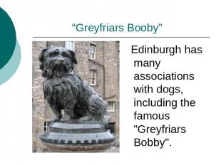“Greyfriars Booby” Edinburgh has many associations with dogs, including the famo