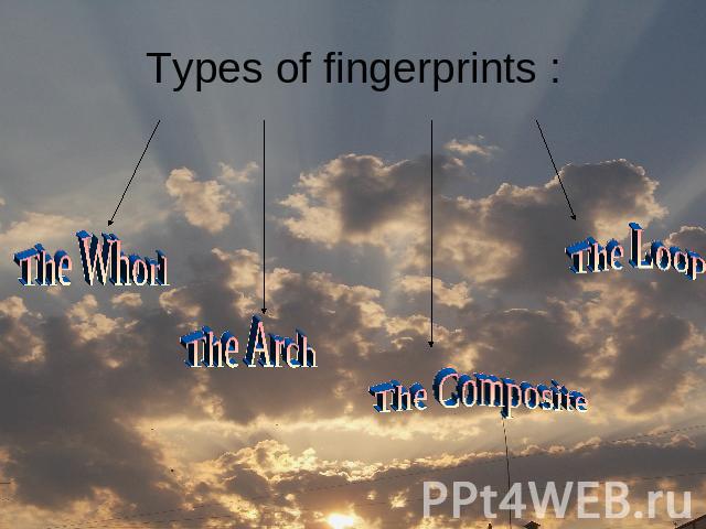 Types of fingerprints : The Whorl The Arch The Composite The Loop