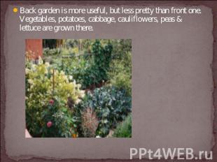 Back garden is more useful, but less pretty than front one. Vegetables, potatoes