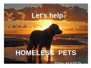Let’s help HOMELESS PETS