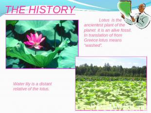 THE HISTORY Lotus is the ancientest plant of the planet it is an alive fossil. I