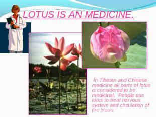 LOTUS IS AN MEDICINE. In Tibetan and Chinese medicine all parts of lotus is cons