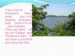 If you want to see Komarov’s lotus, I invite you. In the begging of August you m