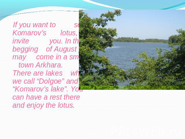 If you want to see Komarov’s lotus, I invite you. In the begging of August you may come in a small town Arkhara. There are lakes which we call “Dolgoe” and “Komarov’s lake”. You can have a rest there and enjoy the lotus.