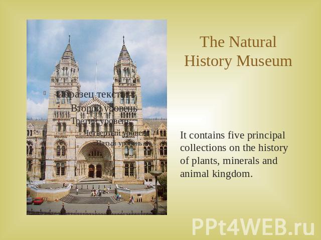 The Natural History MuseumIt contains five principal collections on the history of plants, minerals and animal kingdom.