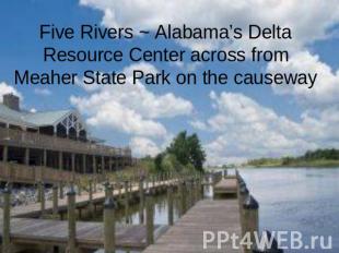 Five Rivers ~ Alabama’s Delta Resource Center across from Meaher State Park on t