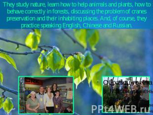 They study nature, learn how to help animals and plants, how to behave correctly