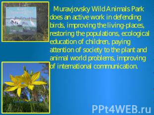 Muravjovsky Wild Animals Park does an active work in defending birds, improving