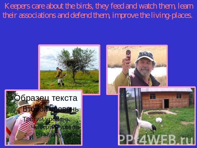 Keepers care about the birds, they feed and watch them, learn their associations and defend them, improve the living-places.