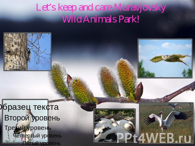Let’s keep and care Muravjovsky Wild Animals Park!